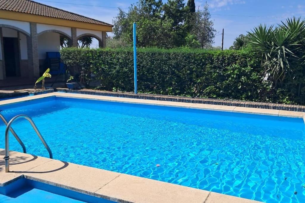 Casa Venus - Con Jardin Y Piscina Villa Alcalá de Guadaira Exteriör bild
